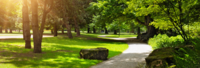 CPRA Survey: Framework for Recreation in Canada