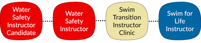 Water Safety Swim Instructor Candidate to Swim for Life Instructor Transition Path